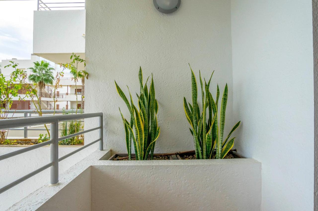 Cb Living - Modern Apartment, Terrazas De Campoamor Dehesa de Campoamor  Εξωτερικό φωτογραφία